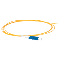 Pigtail en Alg&eacute;rie